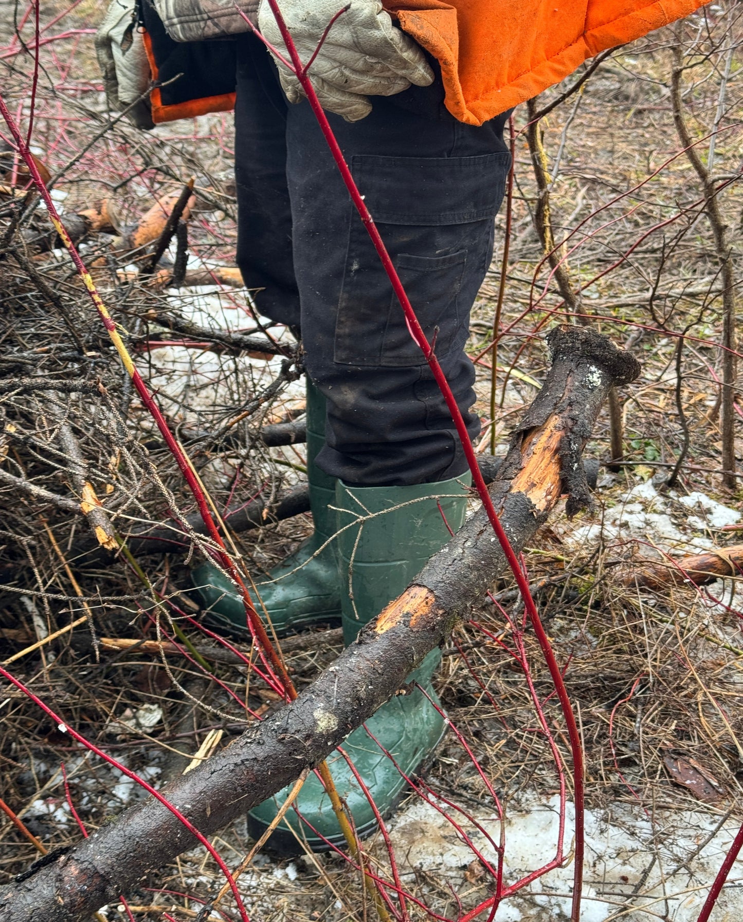 Bas thermaux en alpaga ris- Été comme hiver, isolation et confort